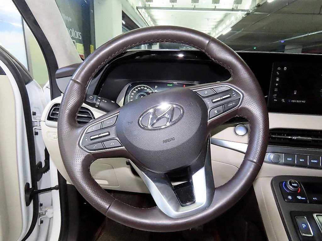 HYUNDAI Palisade - Vista 8