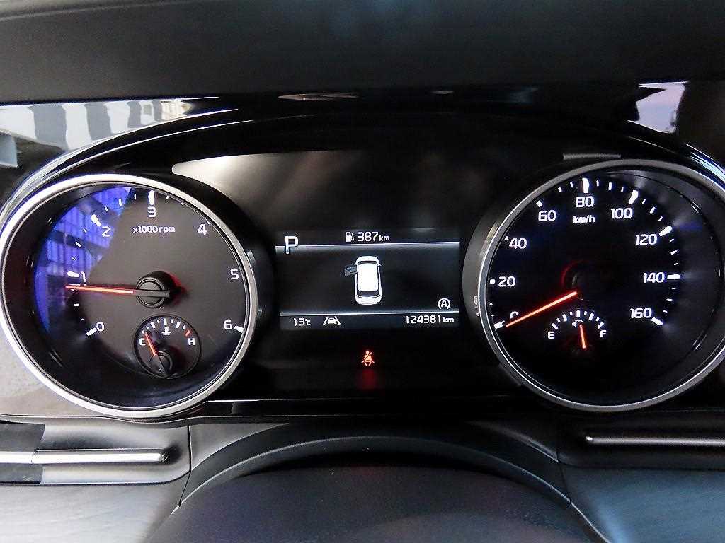 KIA Carnival - Vista 10