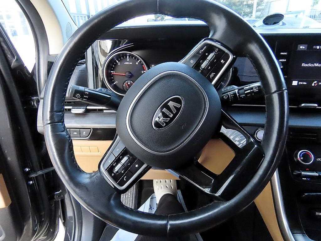 KIA Carnival - Vista 9