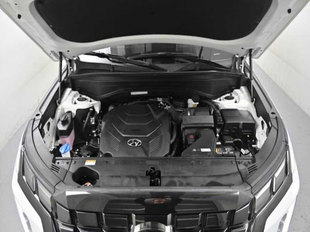 HYUNDAI Palisade - Vista 6