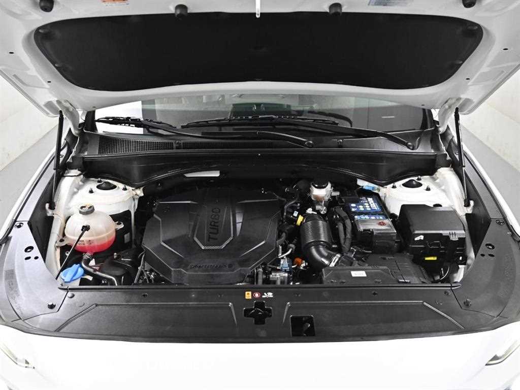 HYUNDAI Santa Fe - Vista 6