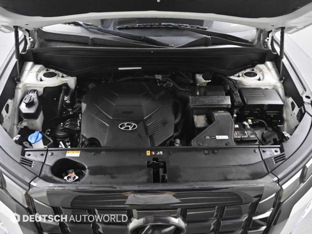 HYUNDAI Palisade - Vista 6