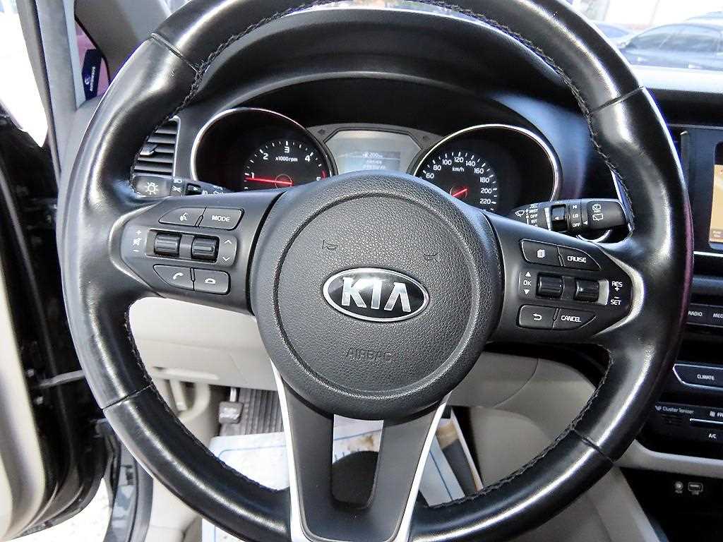 KIA Carnival - Vista 9