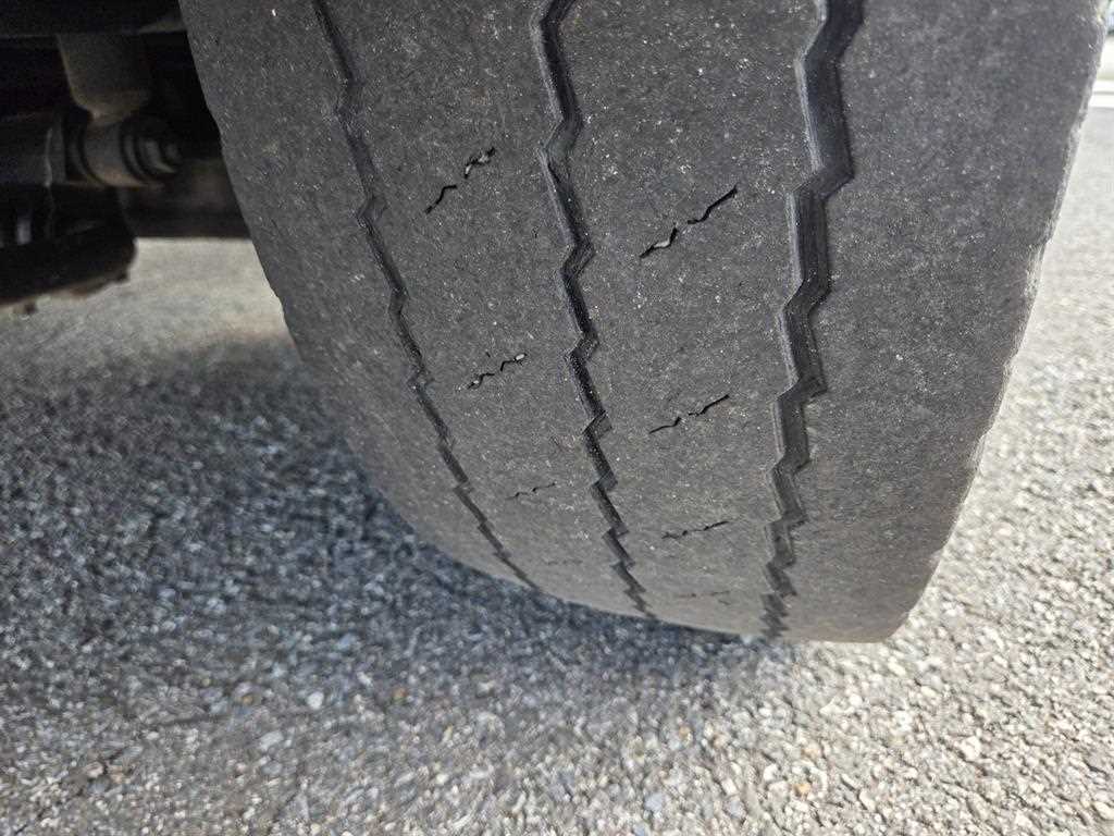 medium and large cargo Special - Vista 11