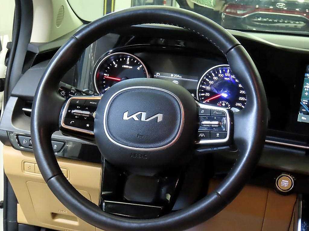 KIA Carnival - Vista 8