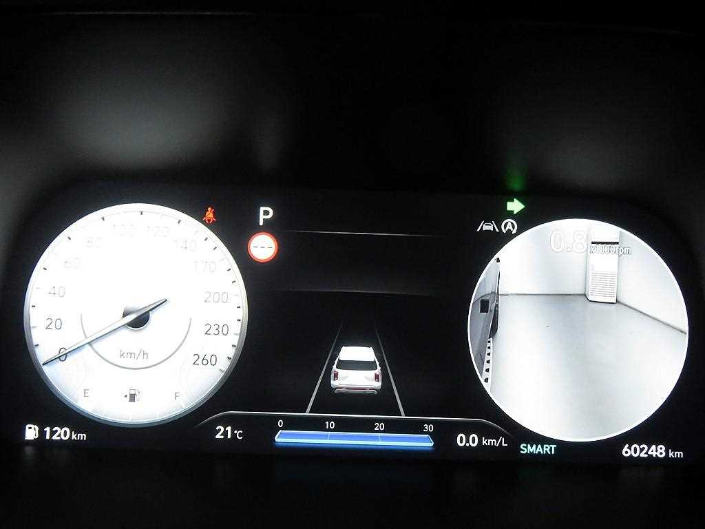 HYUNDAI Palisade - Vista 12