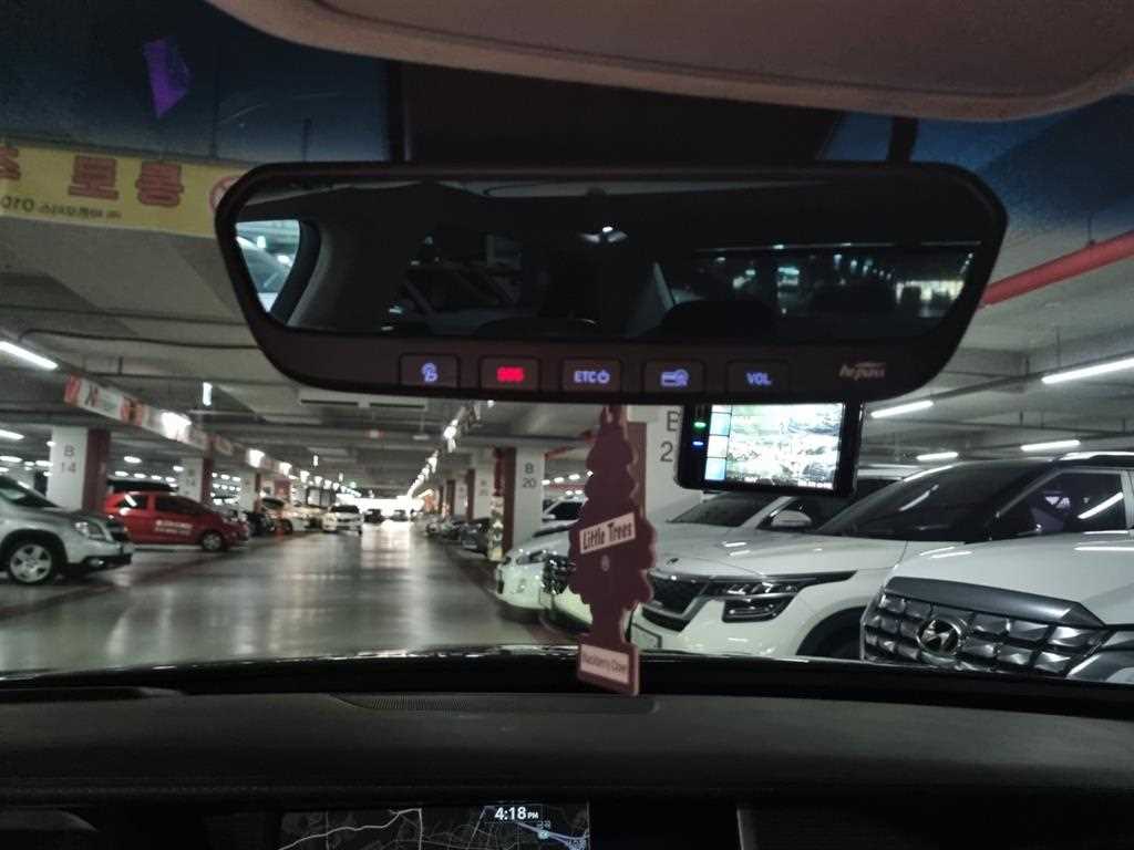 Genesis EQ900 - Vista 11