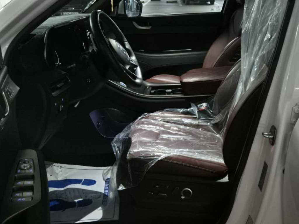 HYUNDAI Palisade - Vista 12