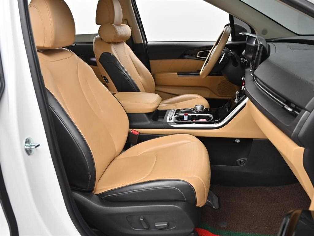 KIA Carnival - Vista 10