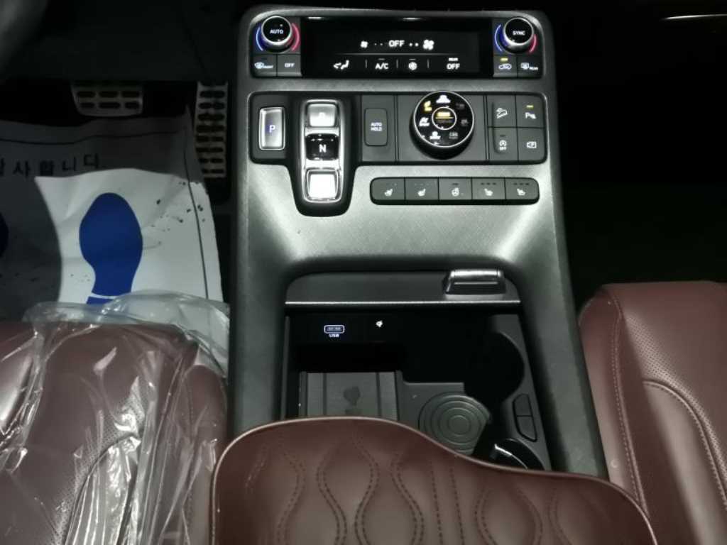 HYUNDAI Palisade - Vista 11