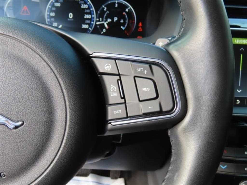 Jaguar F-PACE - Vista 11