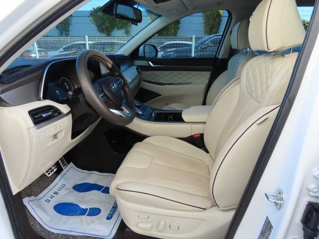 HYUNDAI Palisade - Vista 6