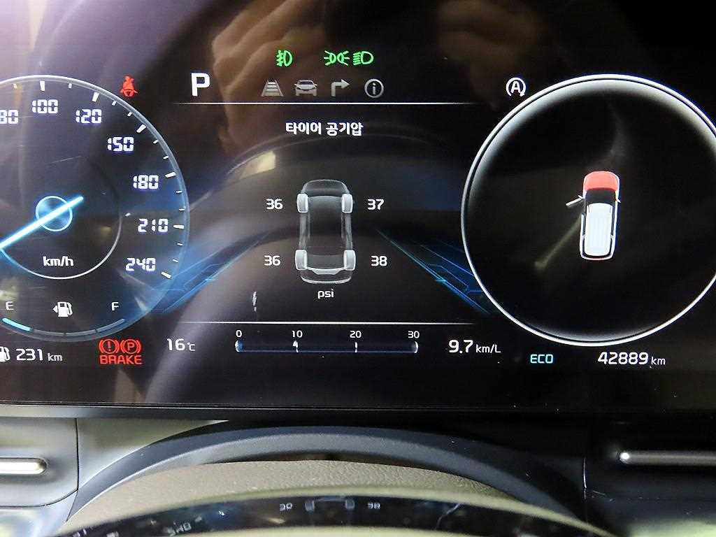 KIA Carnival - Vista 9