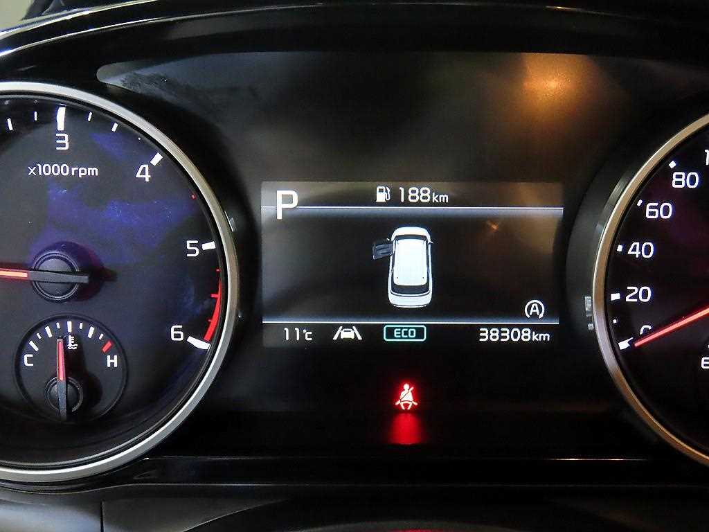 KIA Carnival - Vista 9