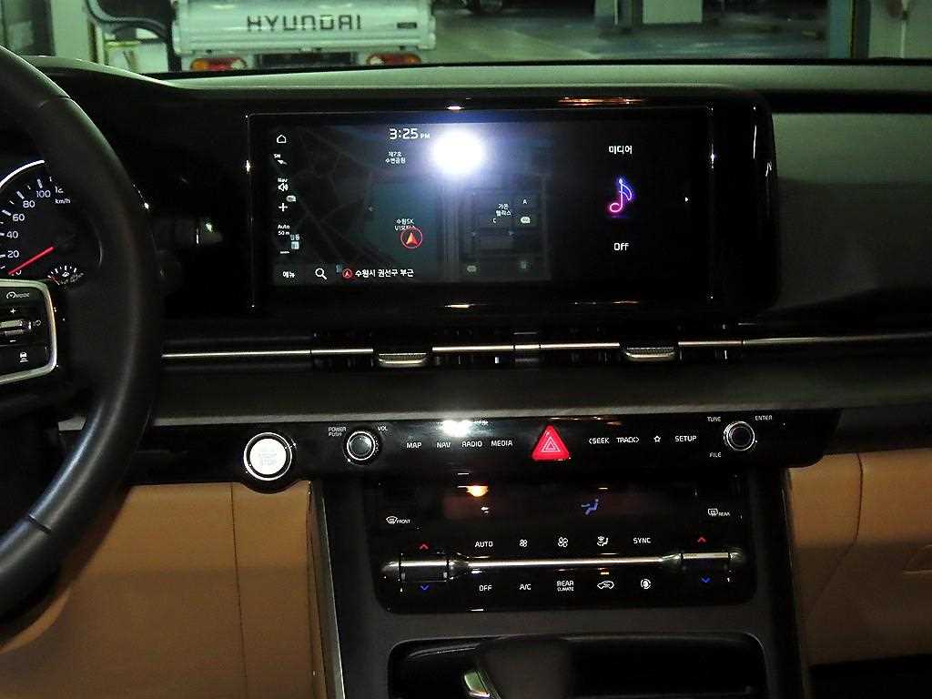 KIA Carnival - Vista 11