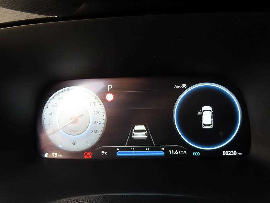 HYUNDAI Palisade - Vista 9