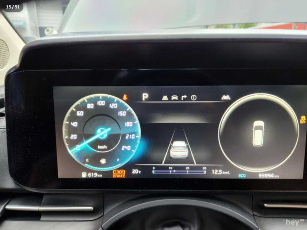 KIA Carnival - Vista 12