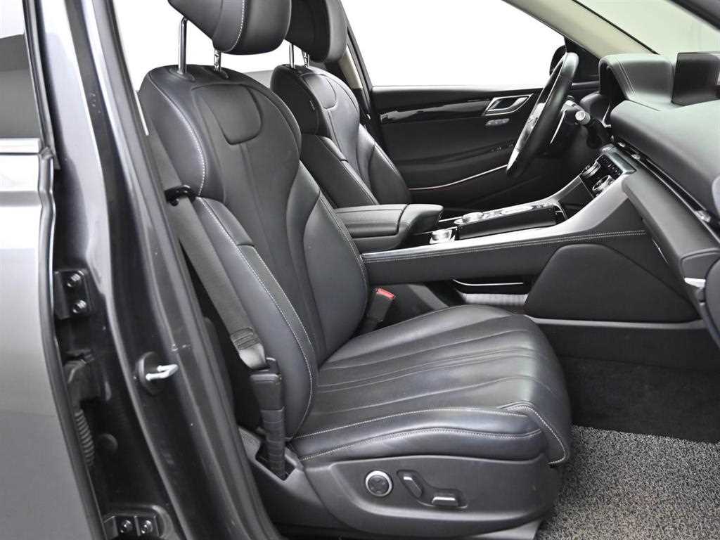 Genesis GV80 - Vista 10