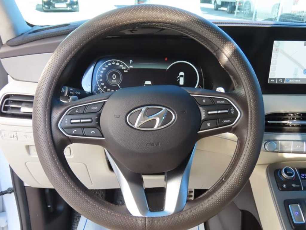 HYUNDAI Palisade - Vista 10