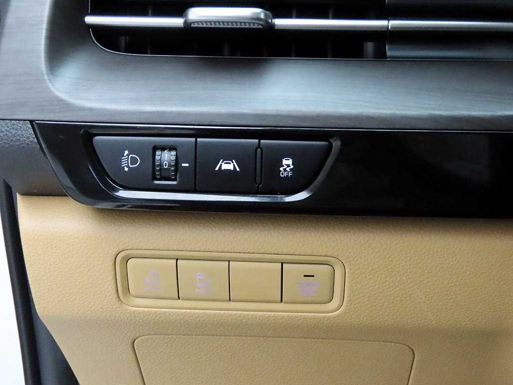 KIA Carnival - Vista 11