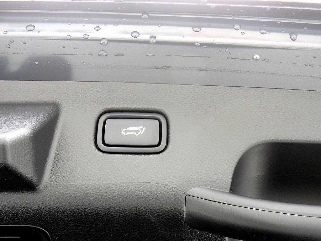 KIA Seltos - Vista 6