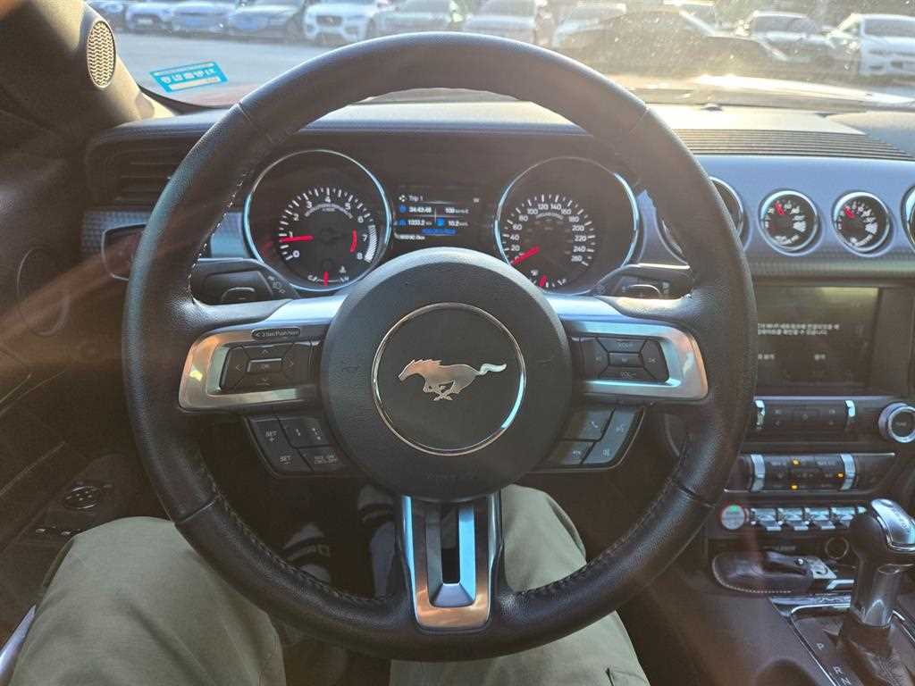 Ford Mustang - Vista 8