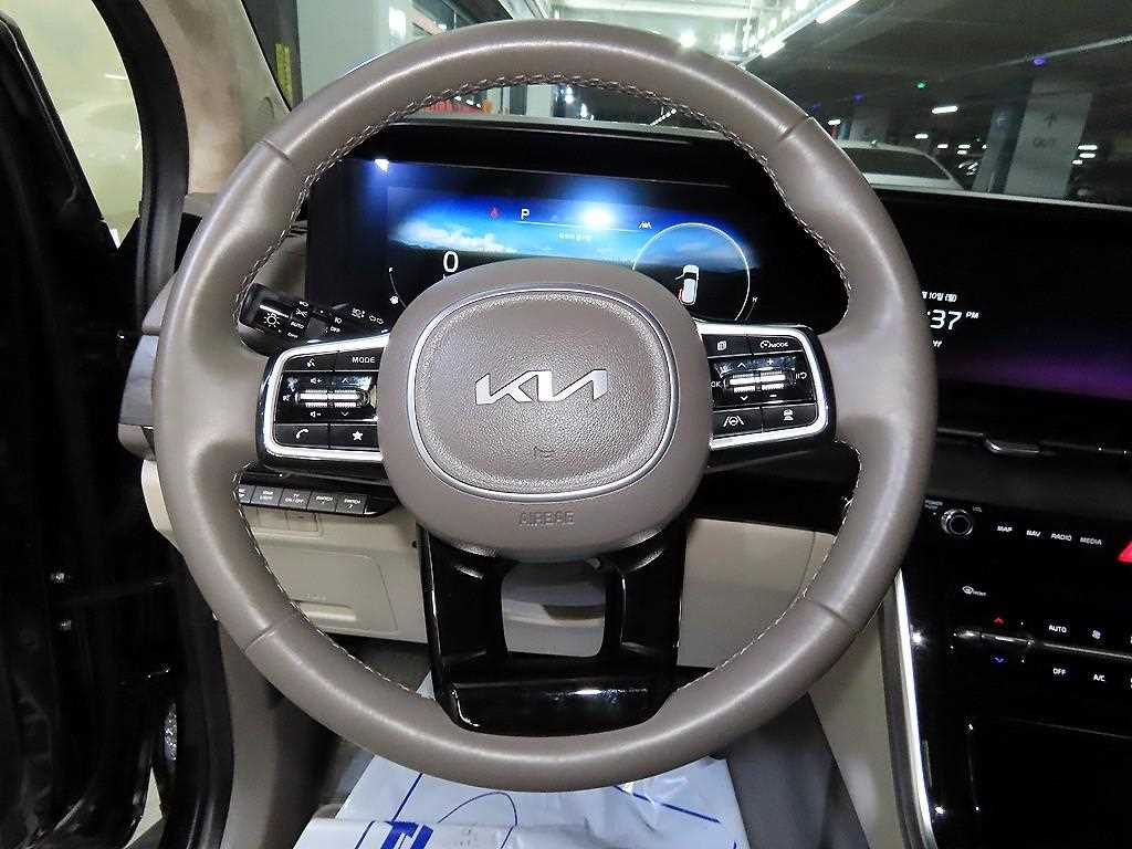 KIA Carnival - Vista 8