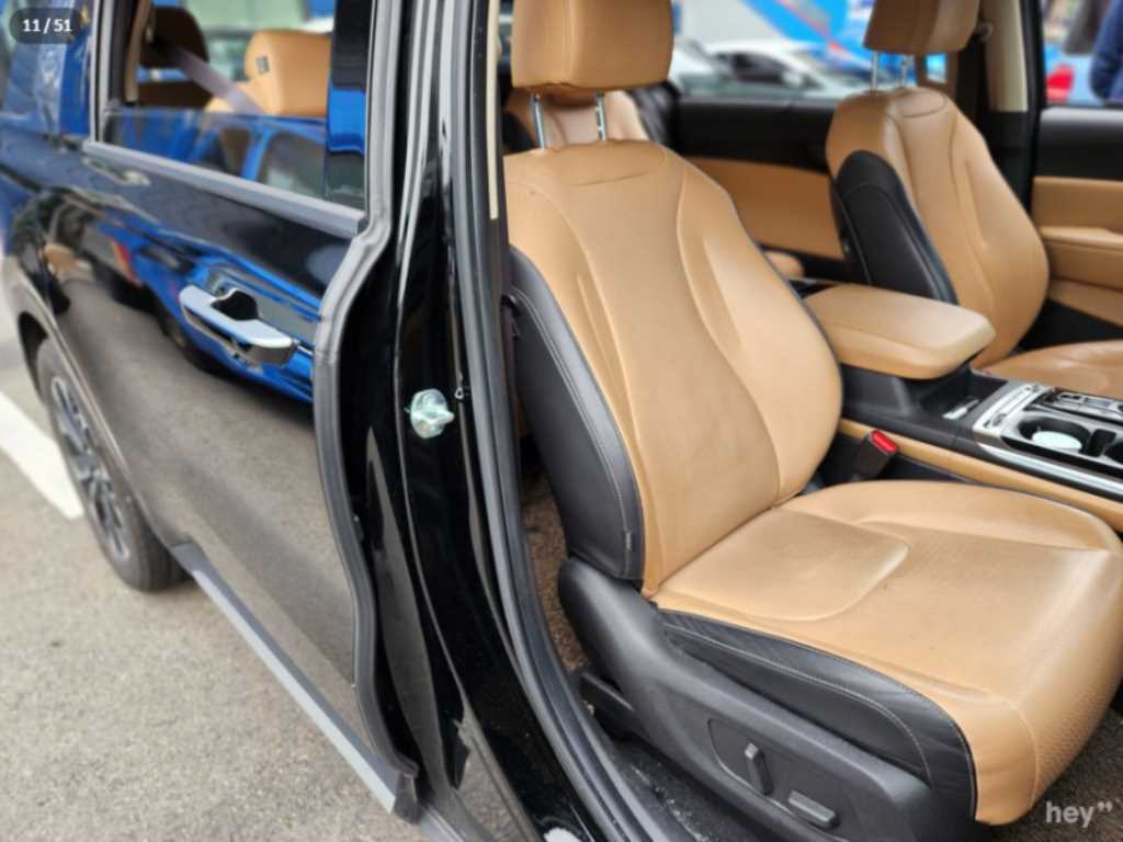 KIA Carnival - Vista 10