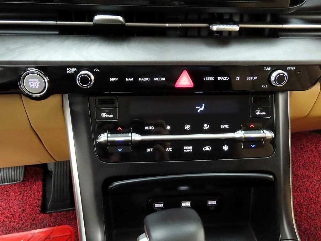 KIA Carnival - Vista 9