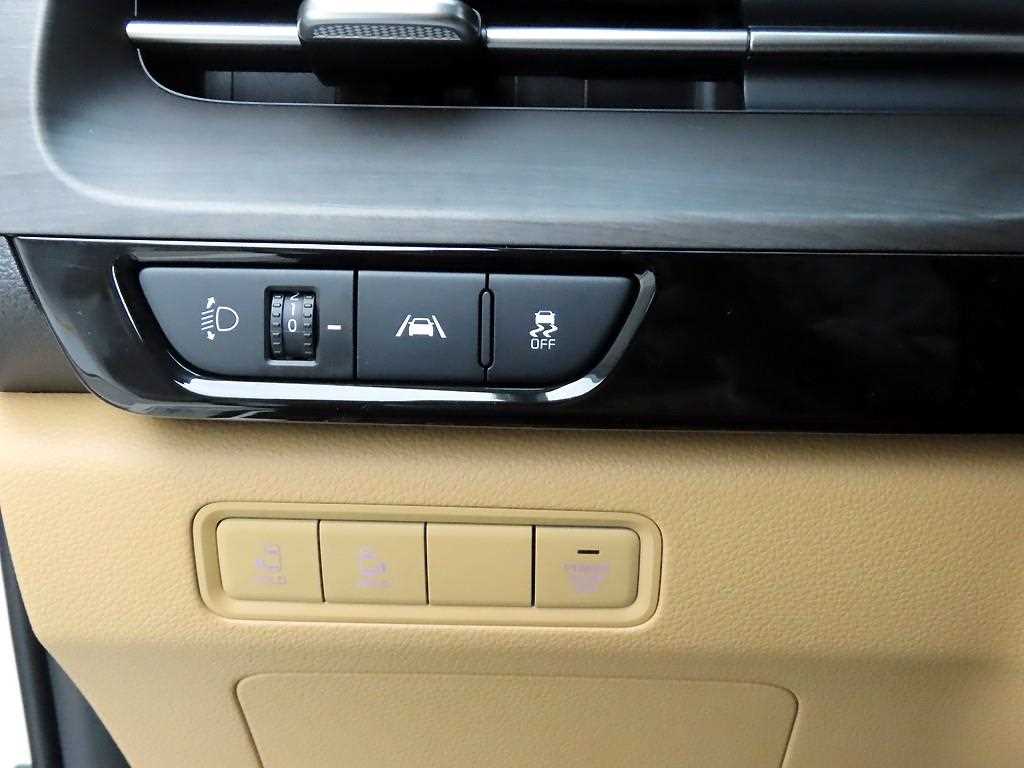 KIA Carnival - Vista 12
