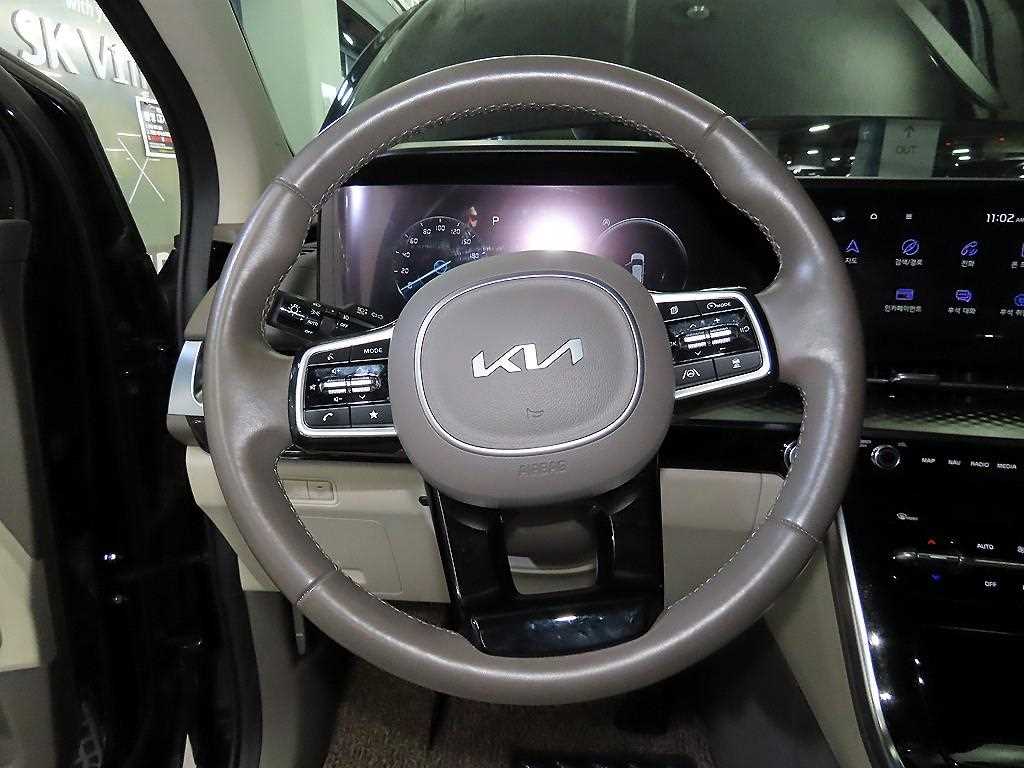 KIA Carnival - Vista 8