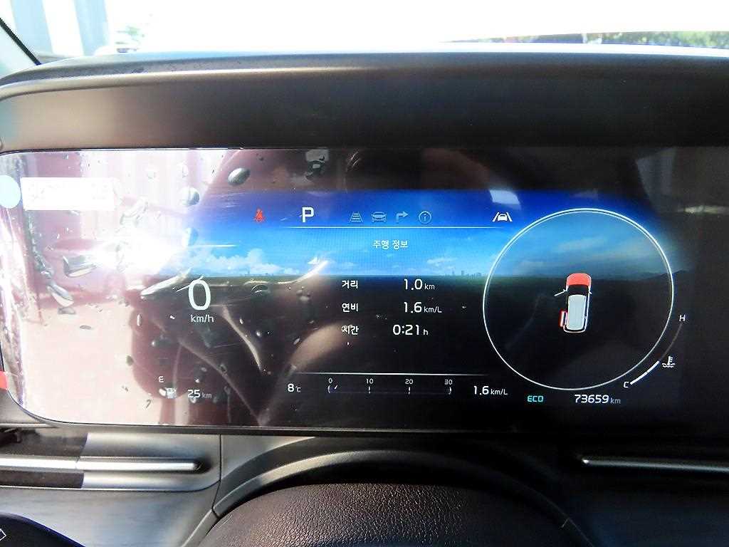 KIA Carnival - Vista 10