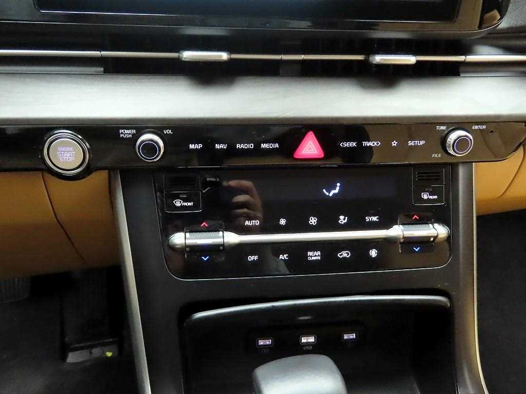 KIA Carnival - Vista 9