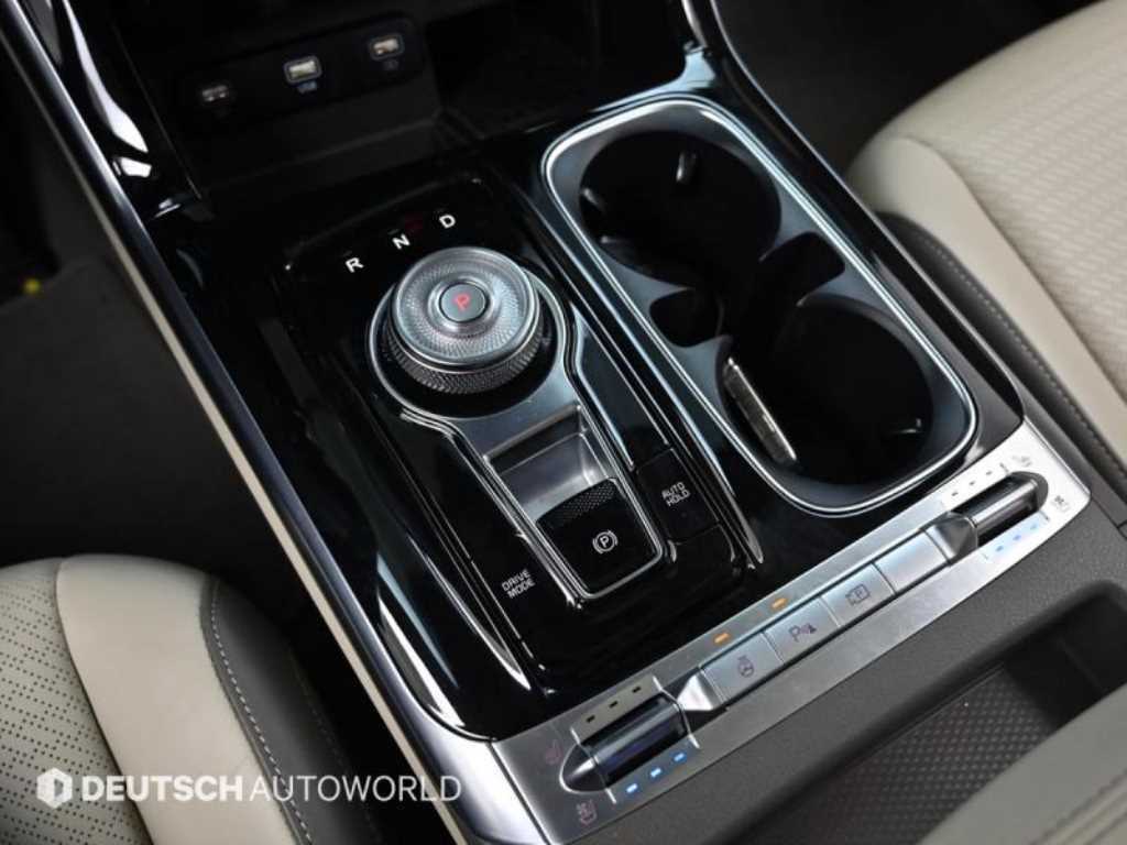 KIA Carnival - Vista 7