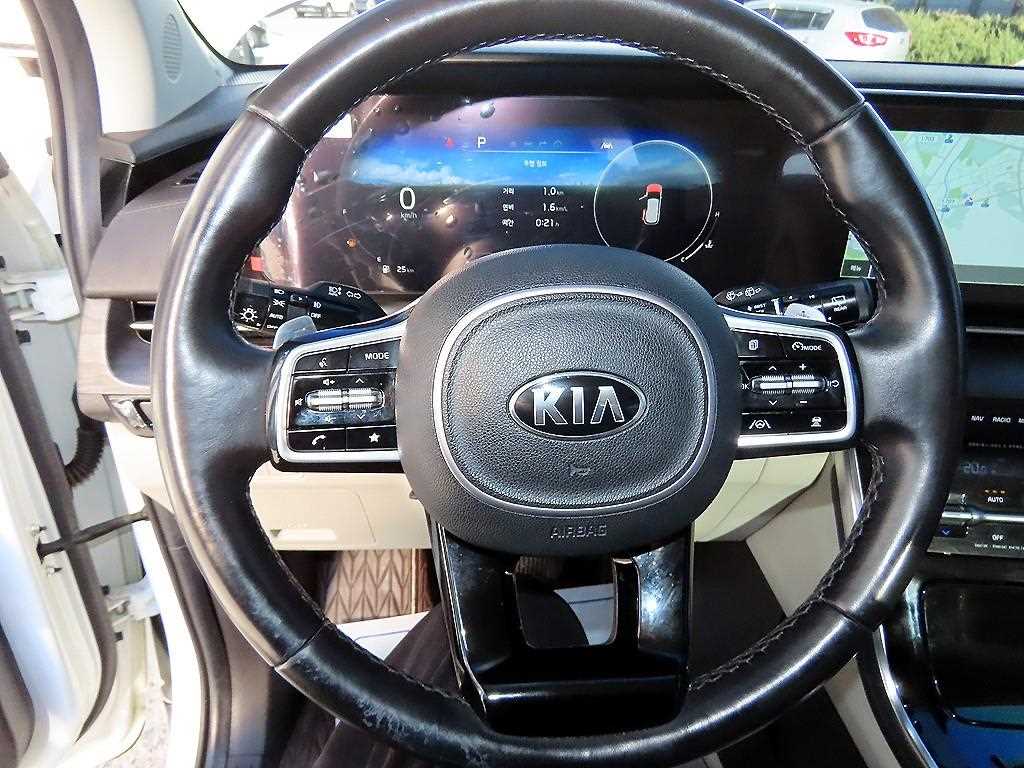 KIA Carnival - Vista 9