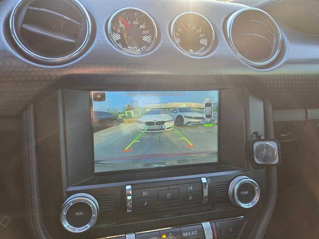 Ford Mustang - Vista 12