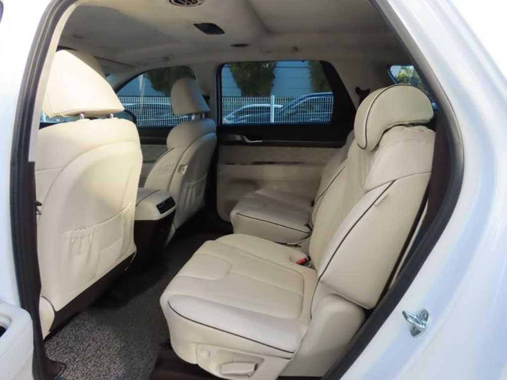 HYUNDAI Palisade - Vista 8