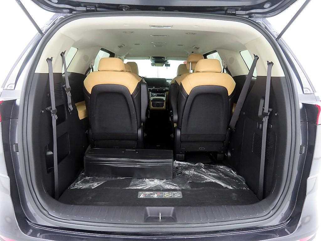 KIA Carnival - Vista 5