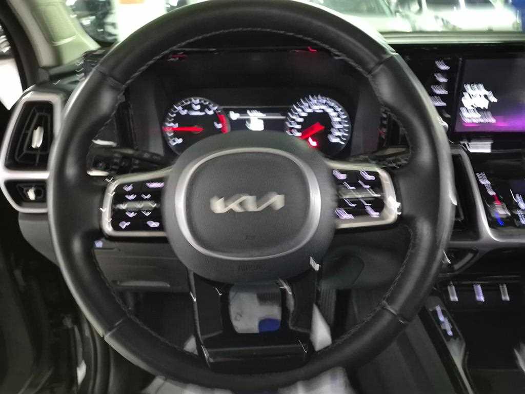 KIA Sorento - Vista 12