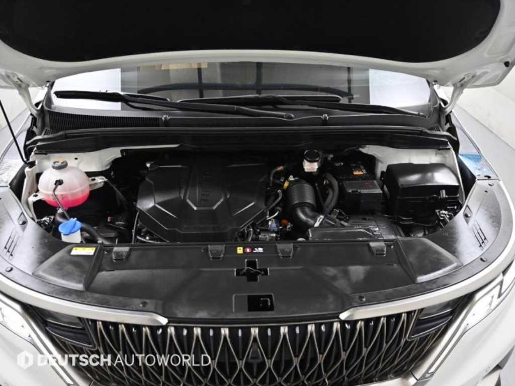 KIA Carnival - Vista 6