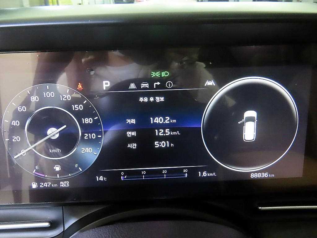 KIA Carnival - Vista 9