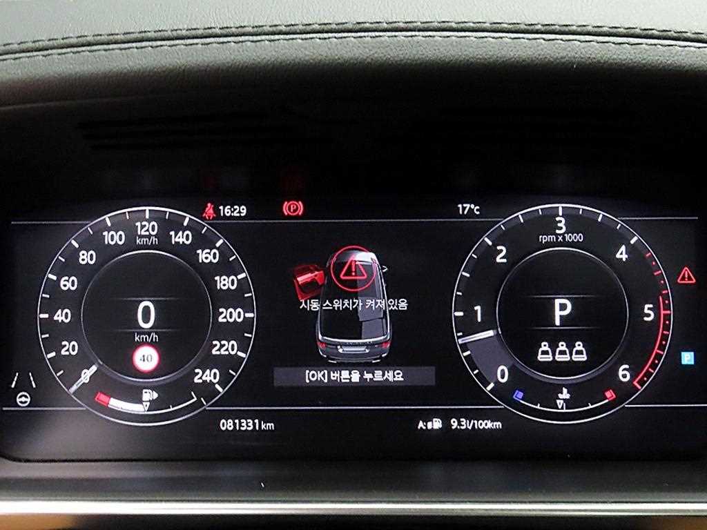 Land Rover Range Rover Sports - Vista 8