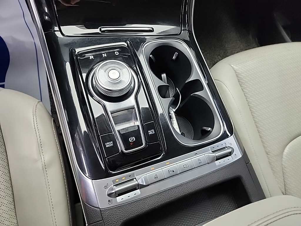 KIA Carnival - Vista 8