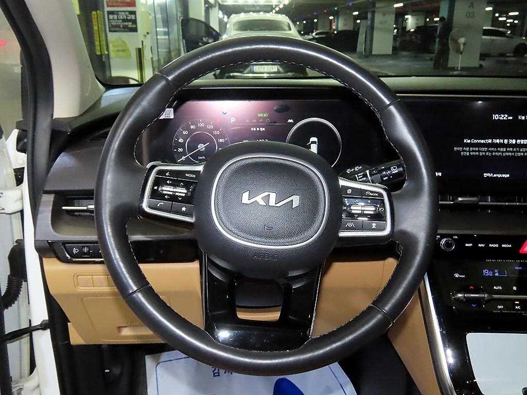 KIA Carnival - Vista 8