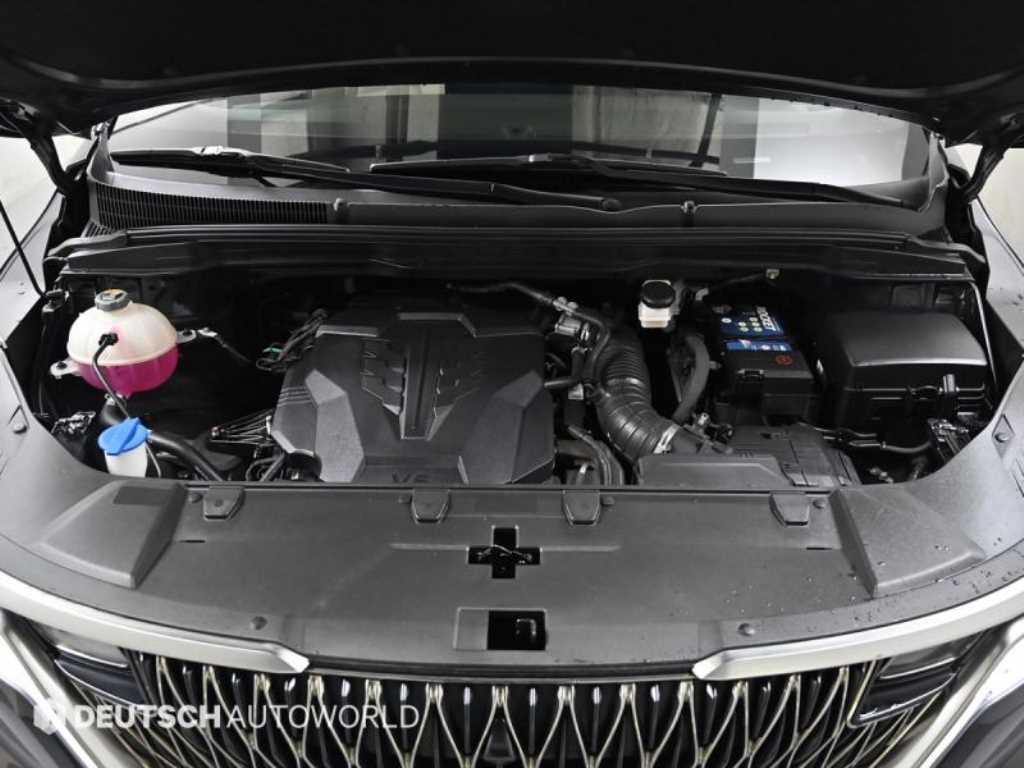 KIA Carnival - Vista 6