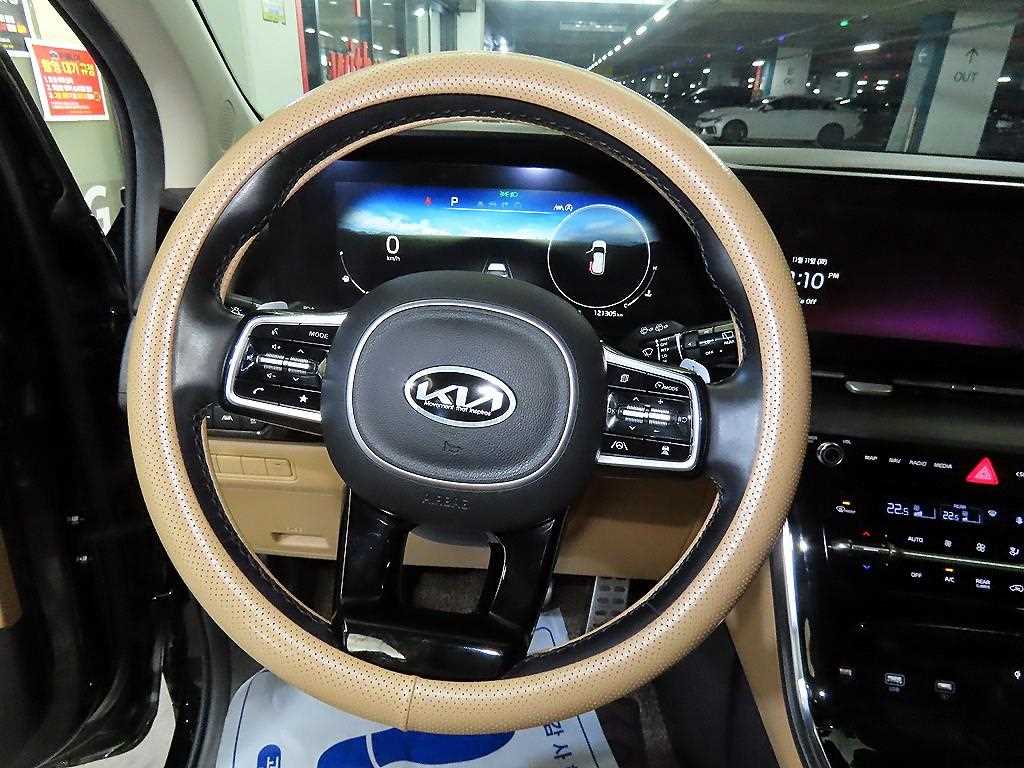 KIA Carnival - Vista 8