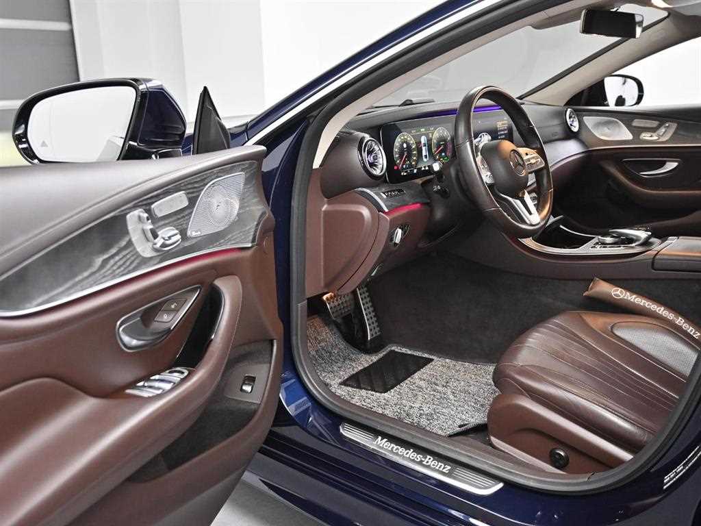 Mercedes Benz CLS Class - Vista 11