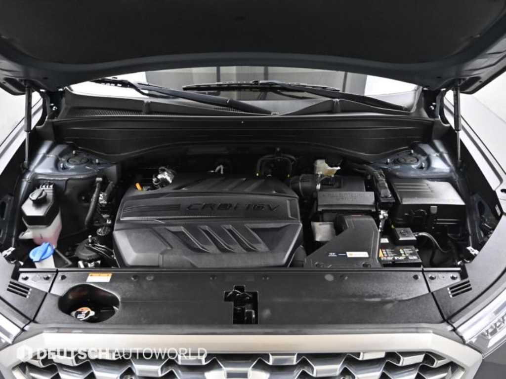 HYUNDAI Palisade - Vista 6