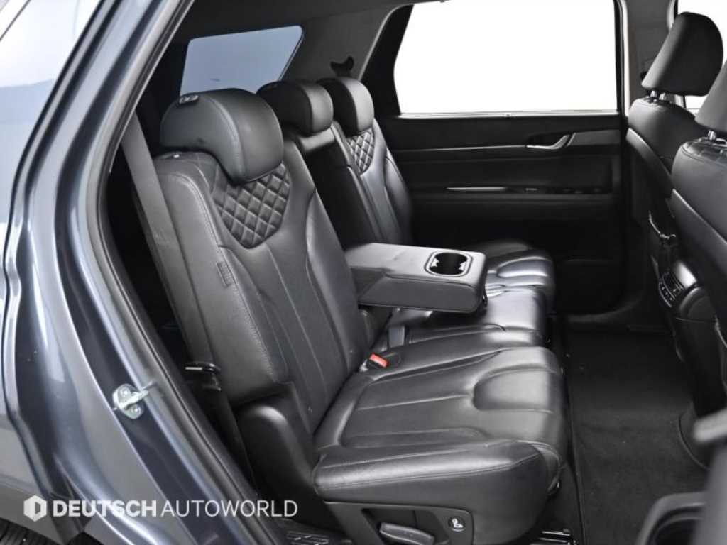 HYUNDAI Palisade - Vista 12