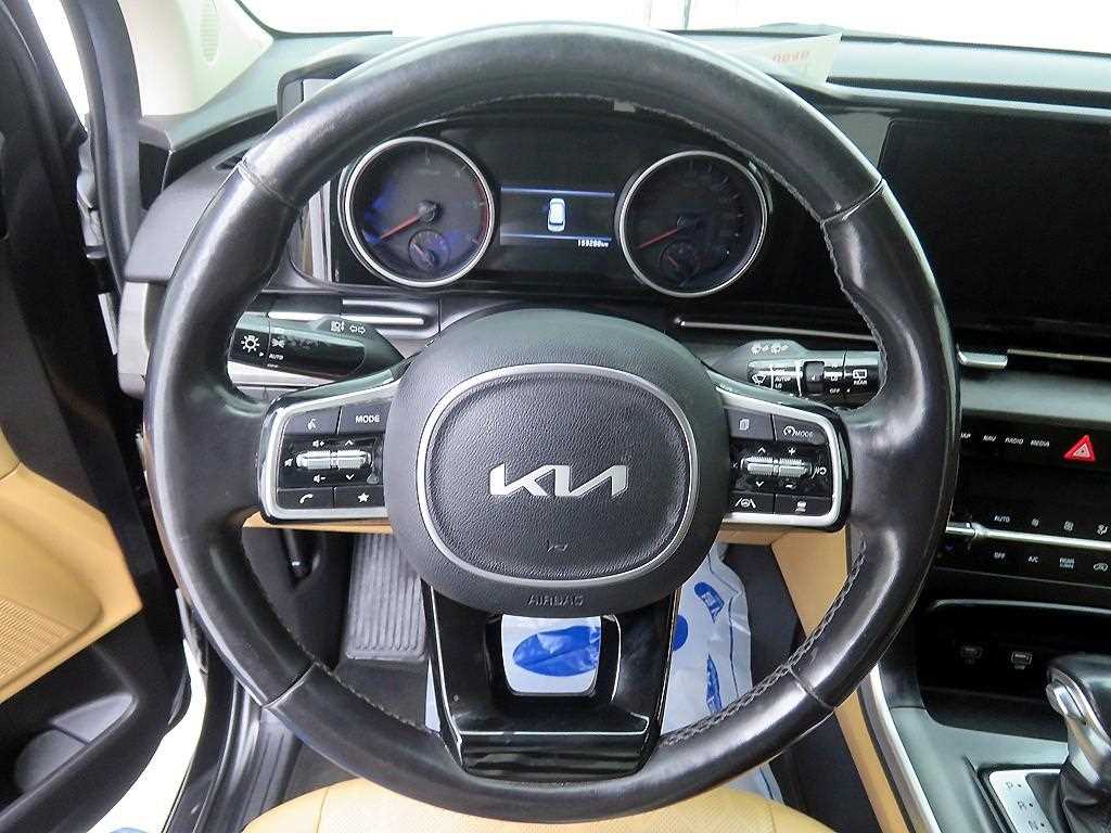 KIA Carnival - Vista 12